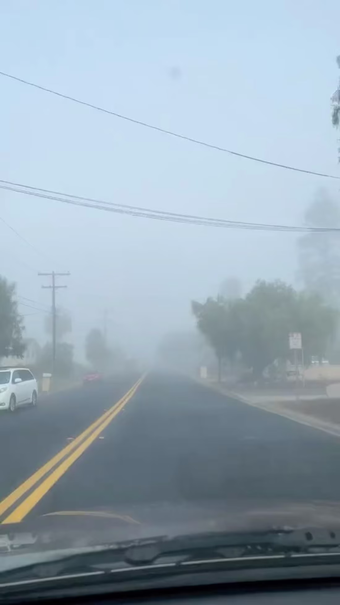 Cover image for Watch this reel by samanthacaranay on Instagram