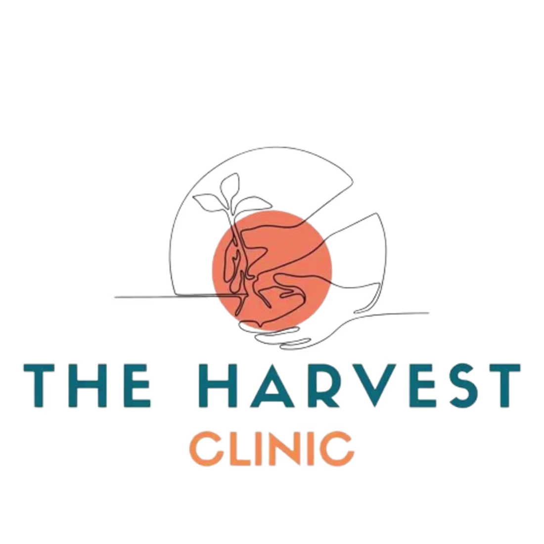 Cover image for Empowering Growth with Data-Driven Digital Campaigns