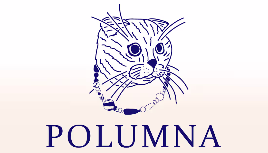 Cover image for Branding & packing for POLUMNA (UA handcrafted jewelry) on Beha…