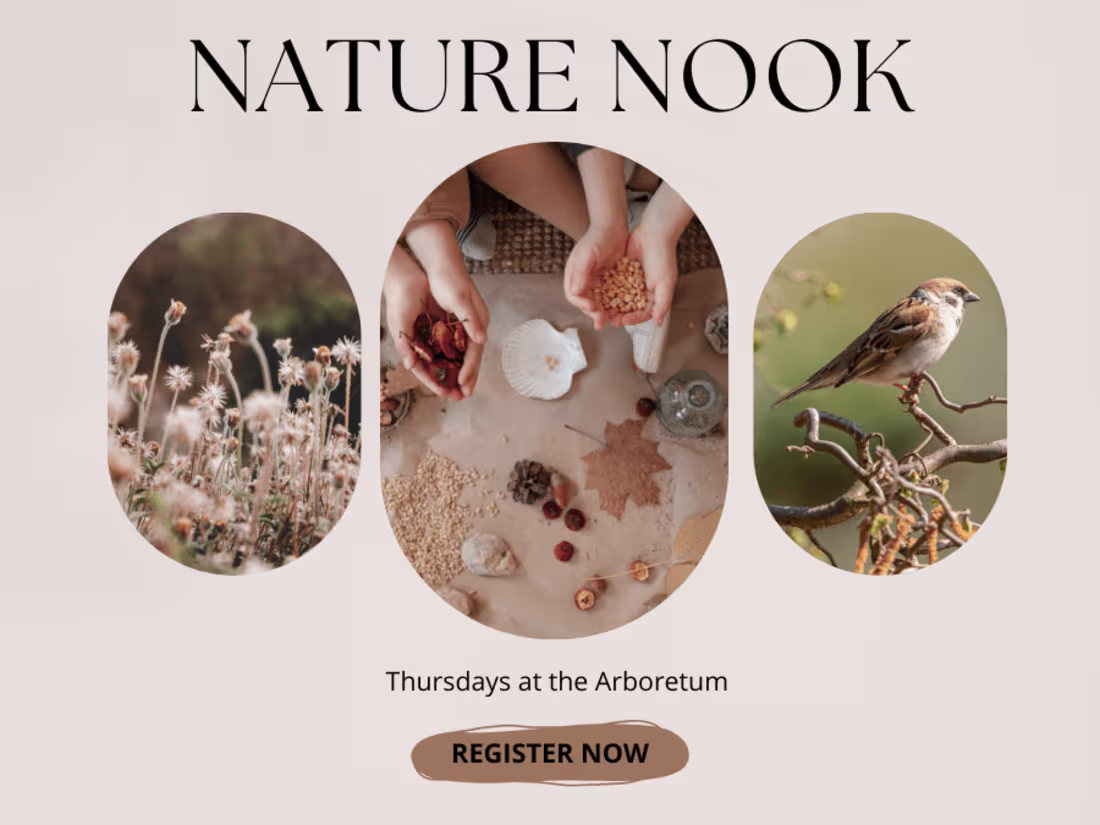 Cover image for Instagram Post