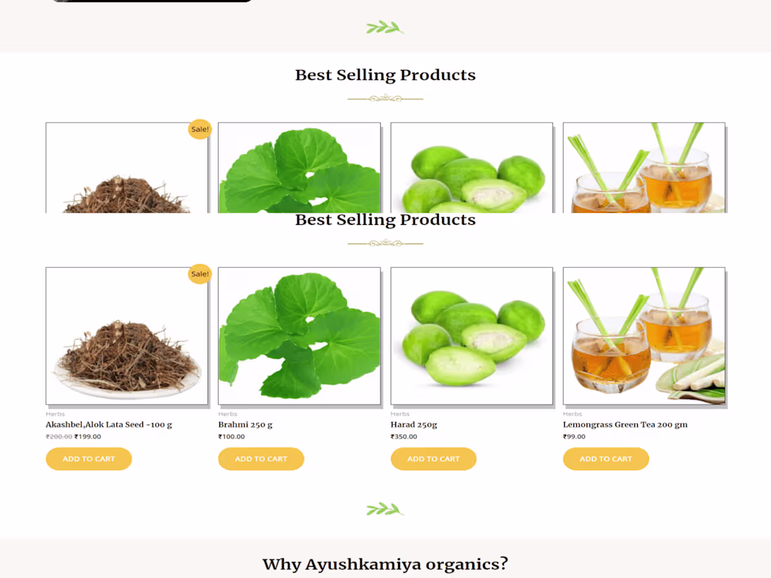 Cover image for Professional E-Commerce Websites with Custom Front-End Design