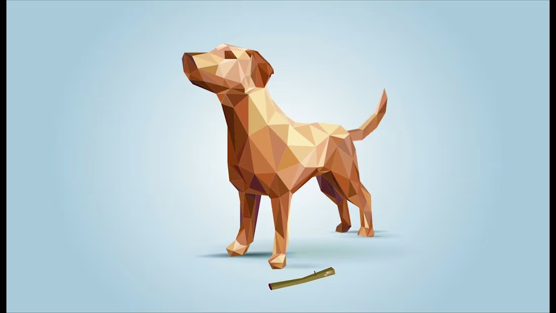 Cover image for Polygon Transformation 