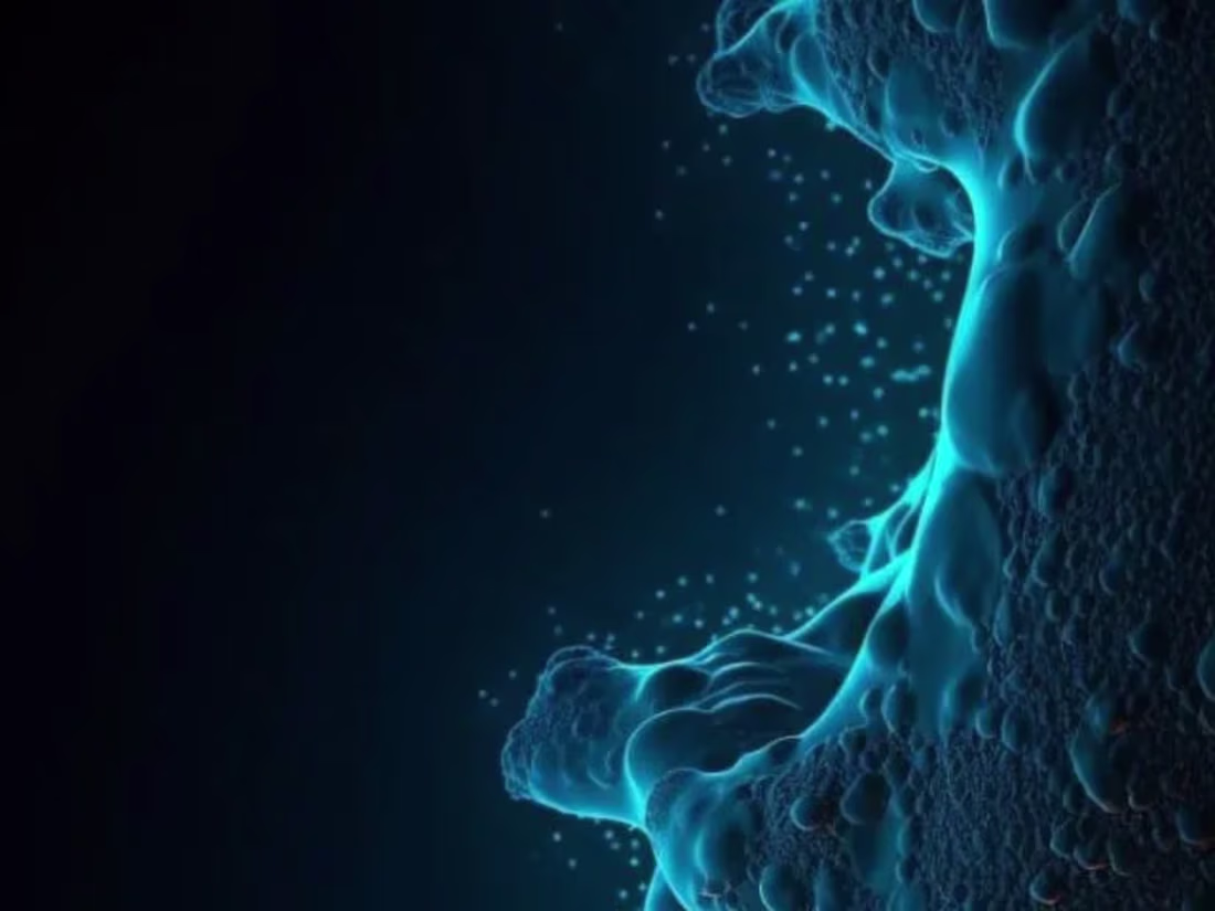 Cover image for Remzi design 