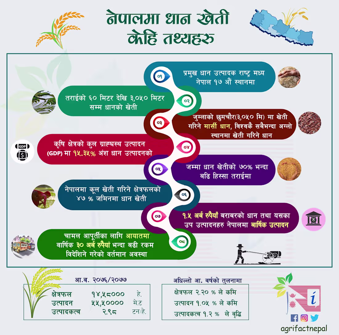 Cover image for Infographic Flyers Design