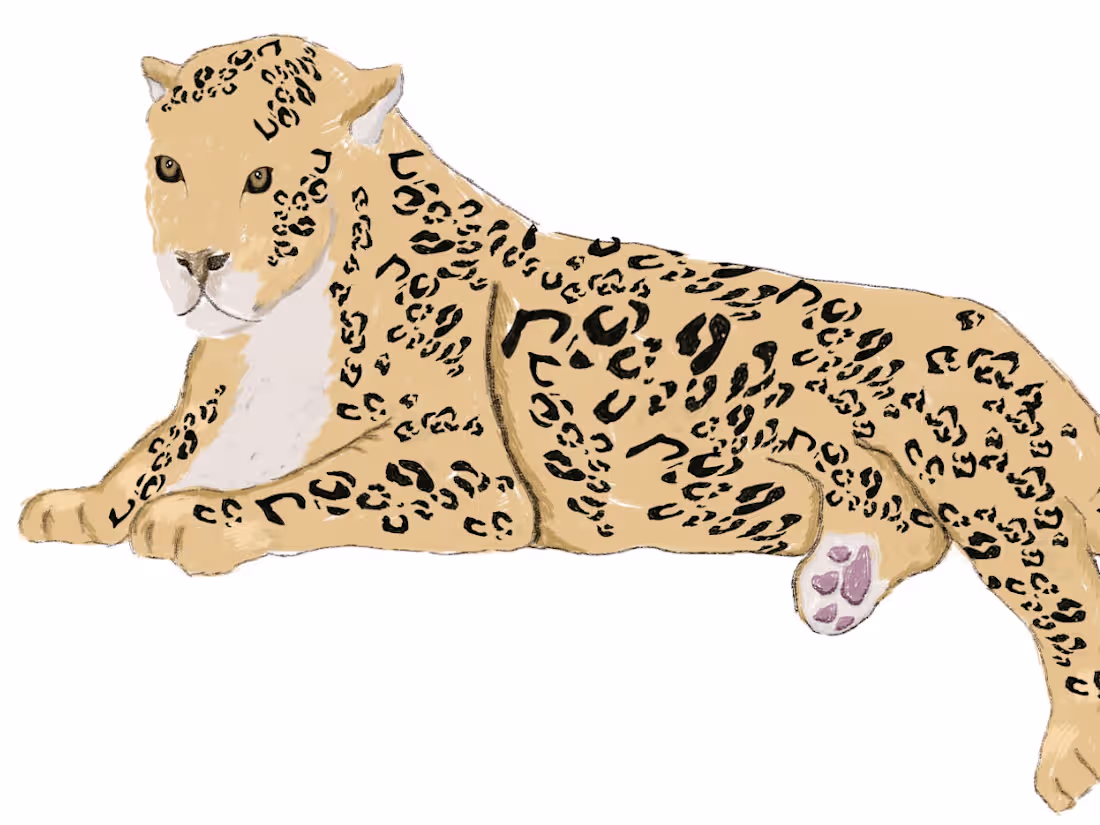 Cover image for Flip book illustration
