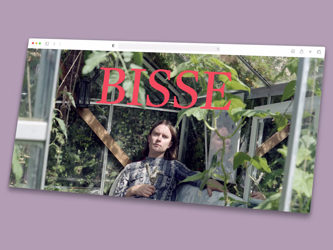Cover image for New website for BISSE