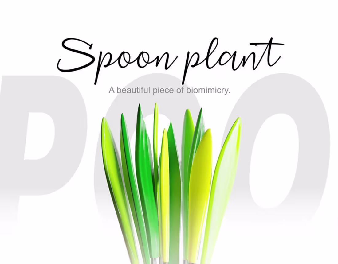 Cover image for Industrial Product Design Portfolio 2024 | Accessories