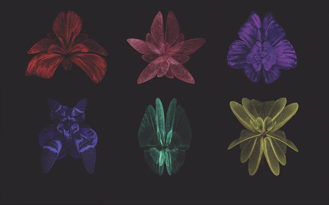 Cover image for Grafiche social media