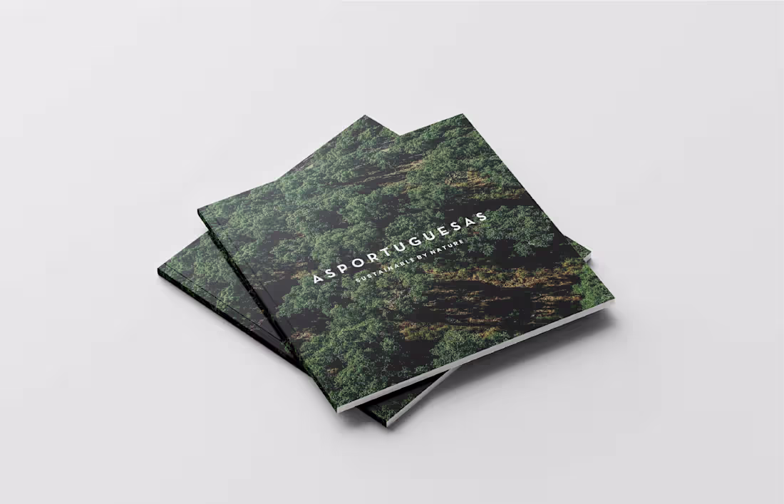 Cover image for ASPORTUGUESAS