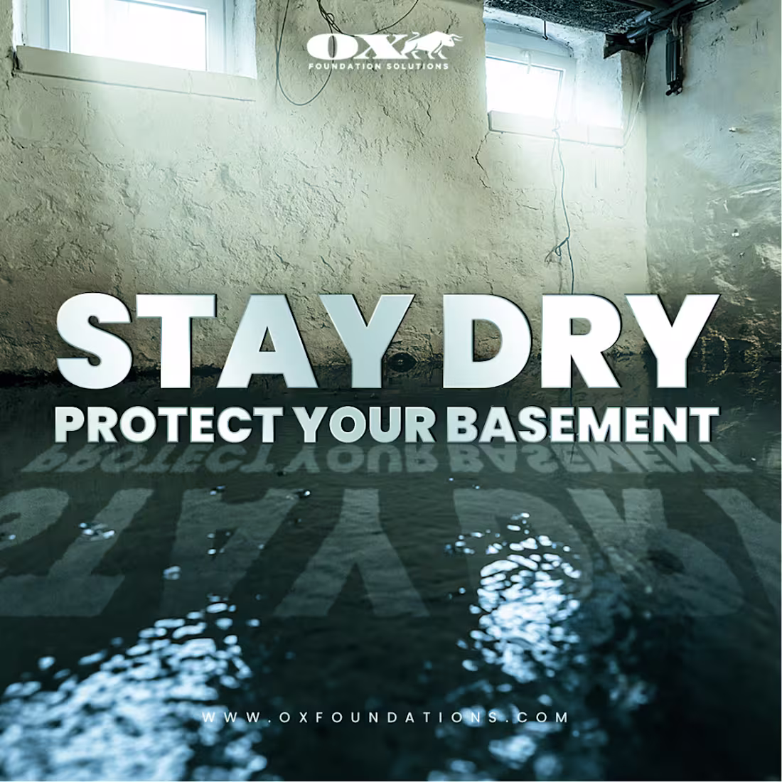 Cover image for Facebook & Instagram Ads