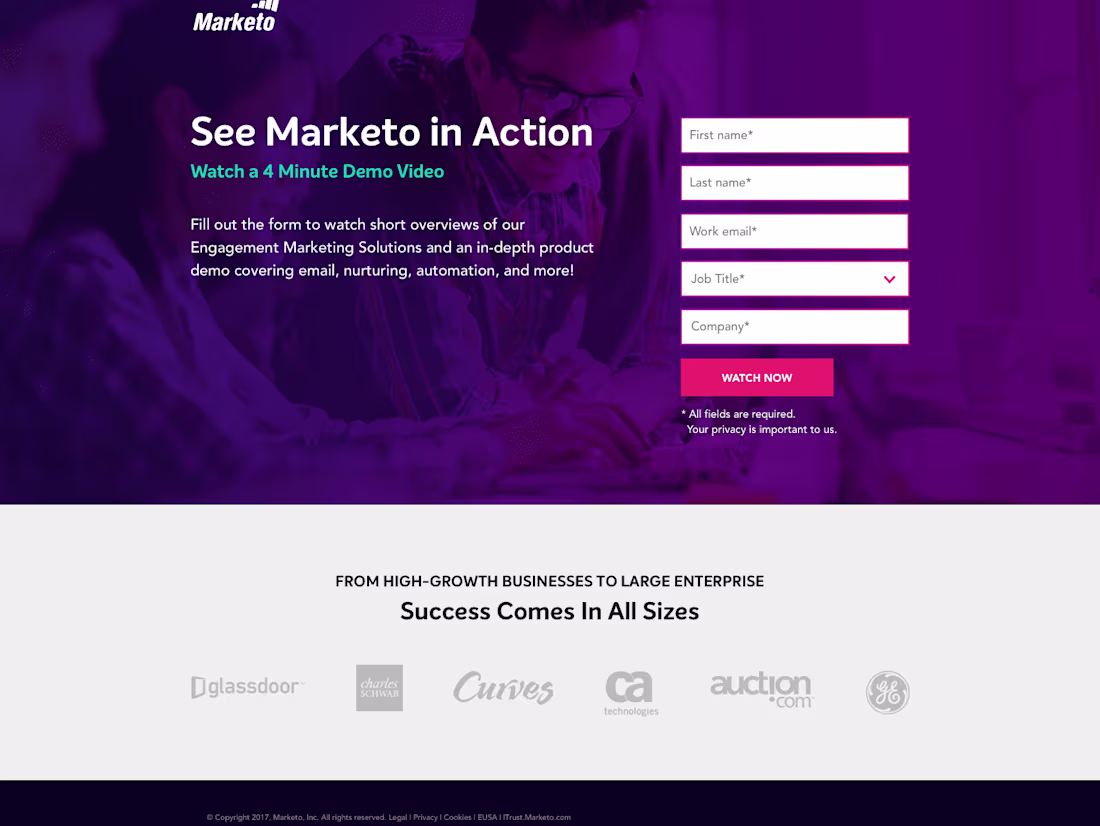 Cover image for Marketo