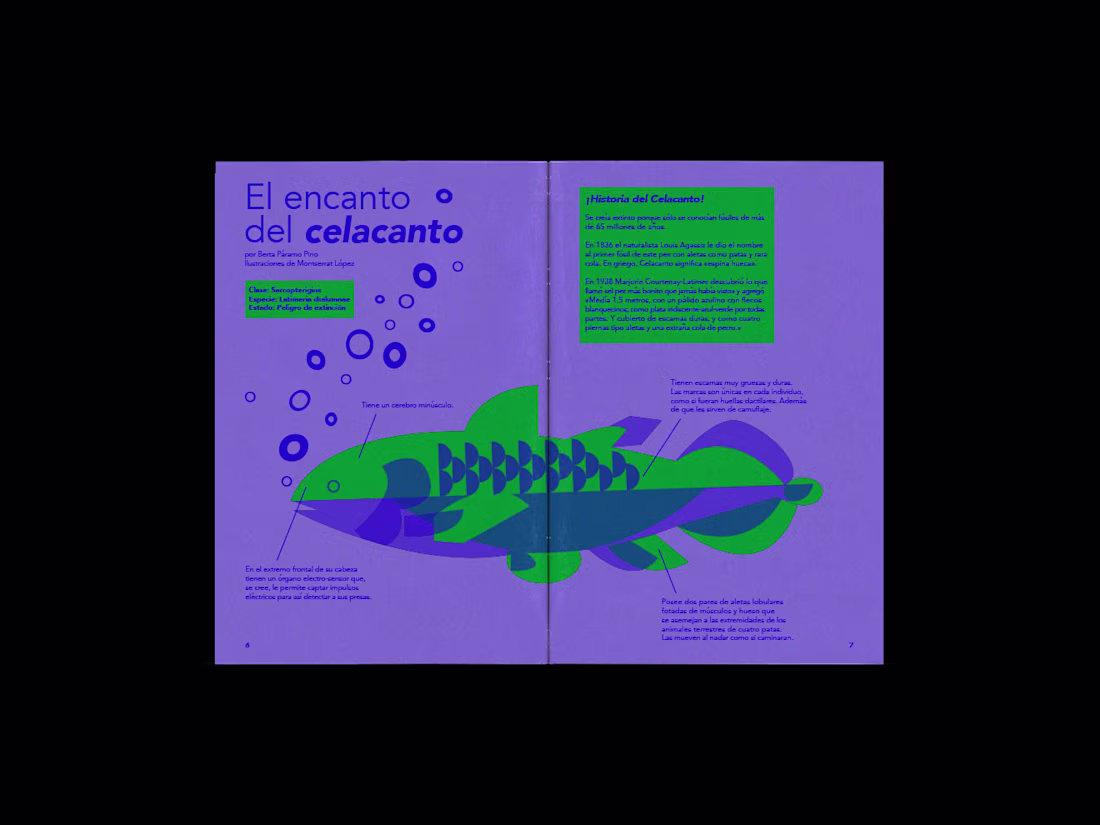 Cover image for ¡De aquí para allá!