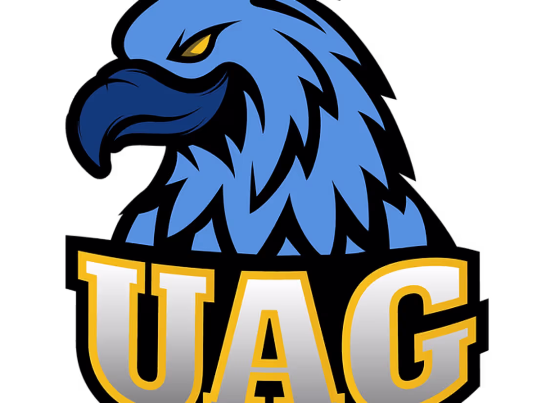 Cover image for Affordable and Engaging Logo Designs