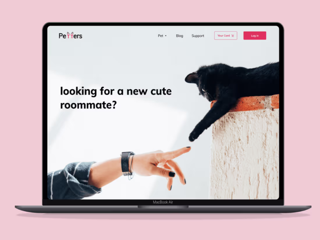 Cover image for Petter e-commerce Website