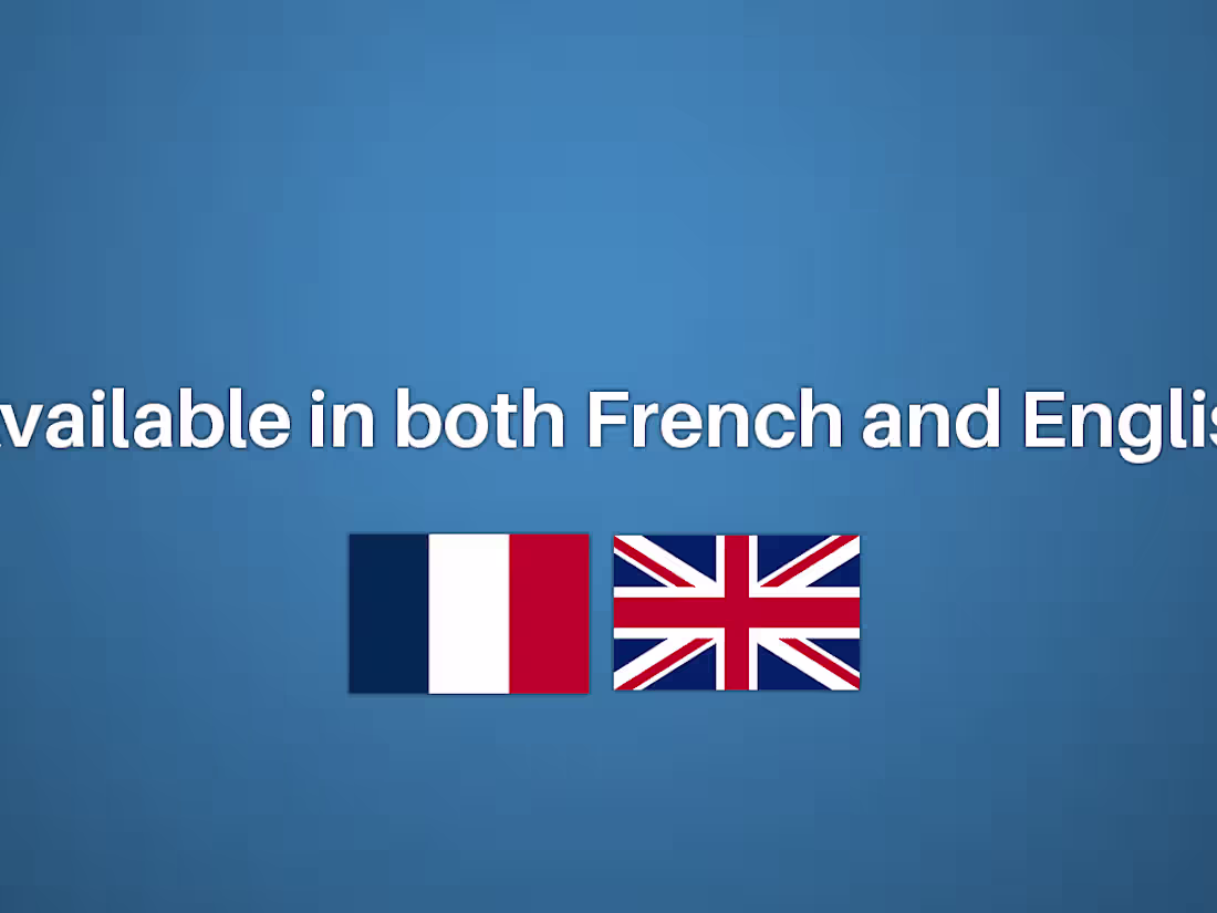 Cover image for FRENCH AND ENGLISH CUSTOMER SUPPORT