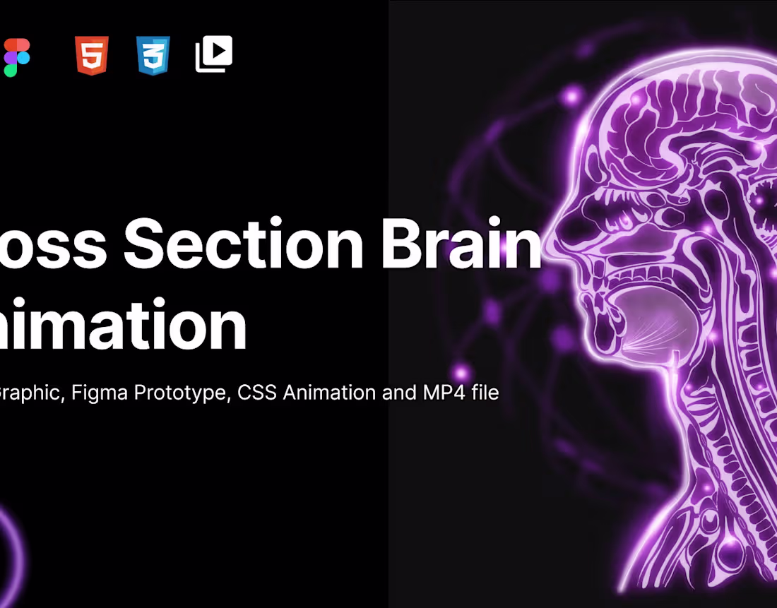 Cover image for Brain anatomy animation