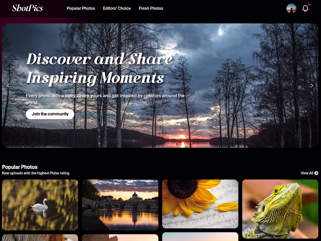 Cover image for Shotpics