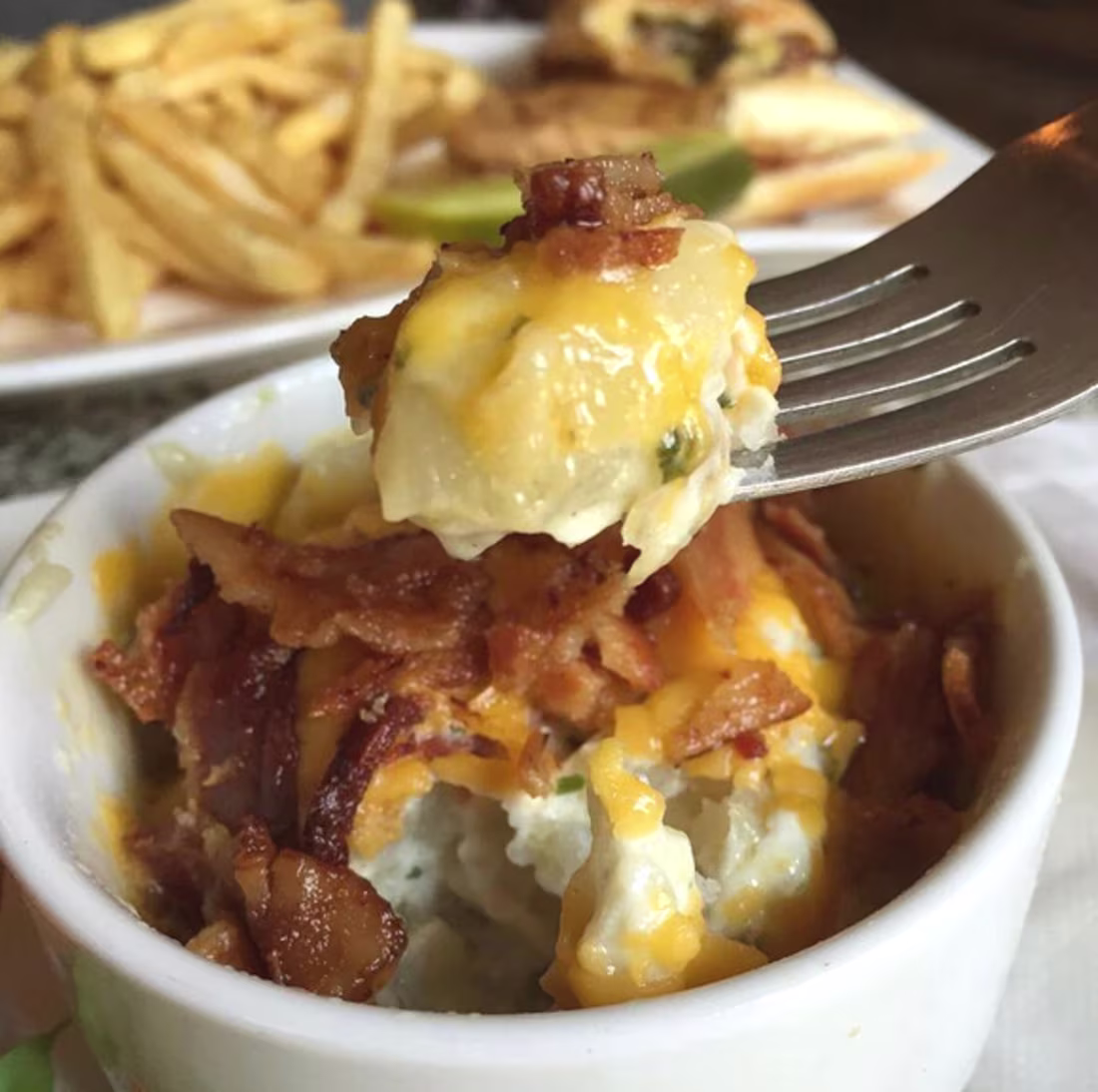 Cover image for UGC PORTFOLIO