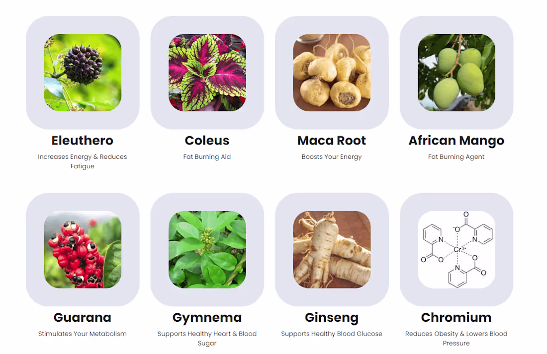 Cover image for Sugar defender reviews and compalints