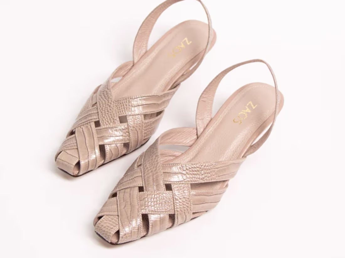 Cover image for Camping Let’s walk- Zaos