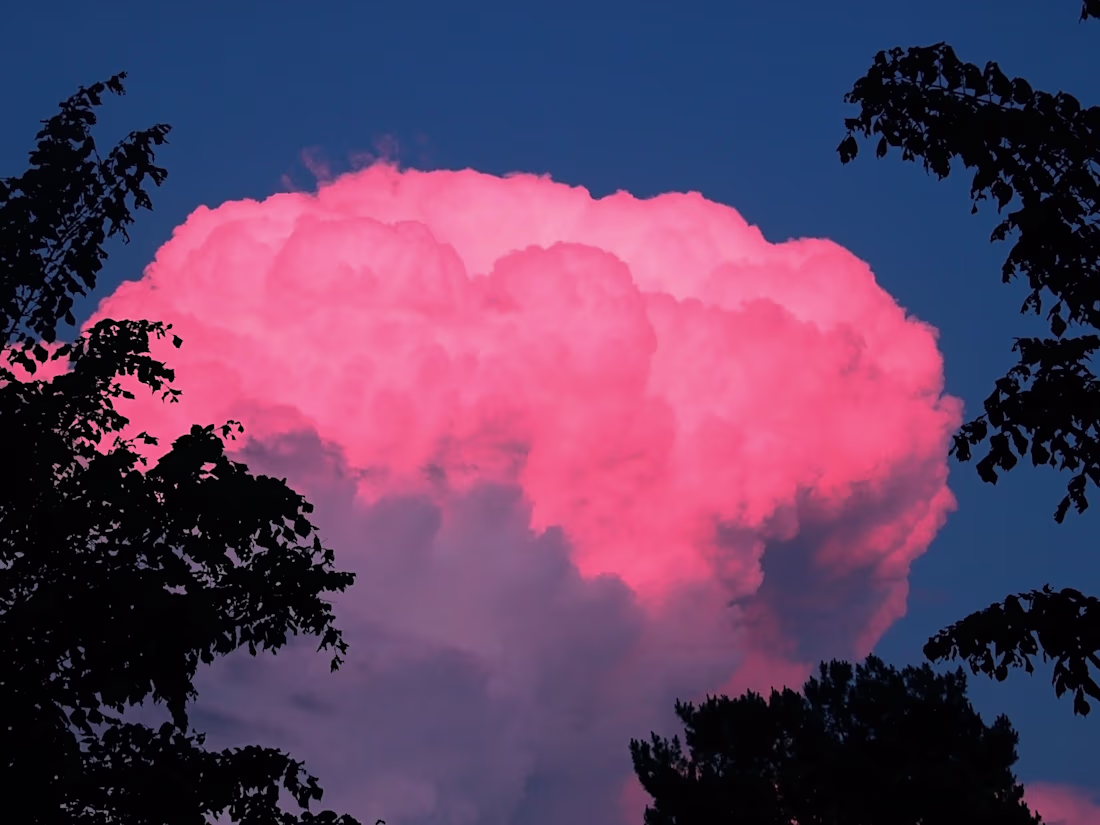 Cover image for Creative Commercials: Script to Final Cut