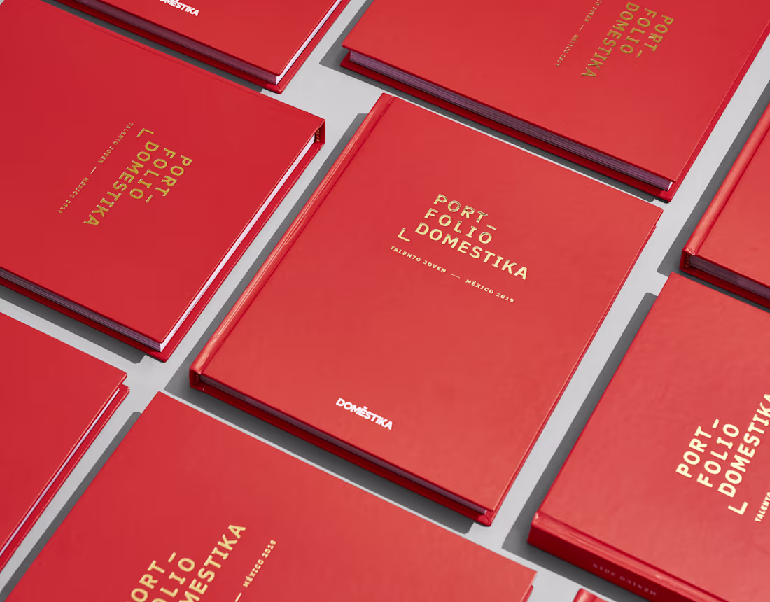 Cover image for Portfolio Domestika México 2019