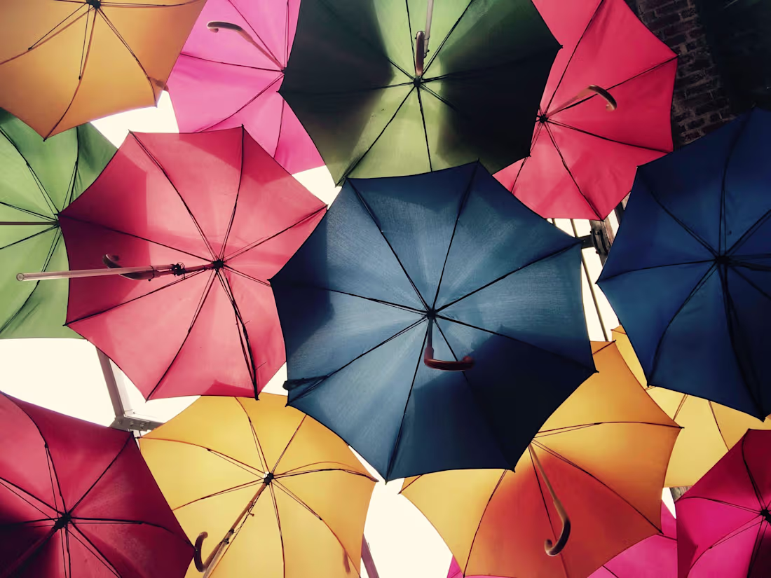 Cover image for Precision Transcription Services