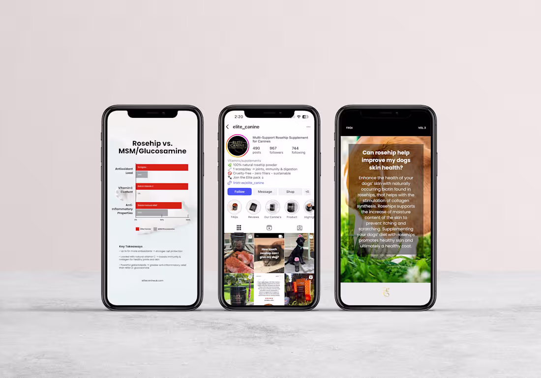 Cover image for Elite Canine | Instagram Management