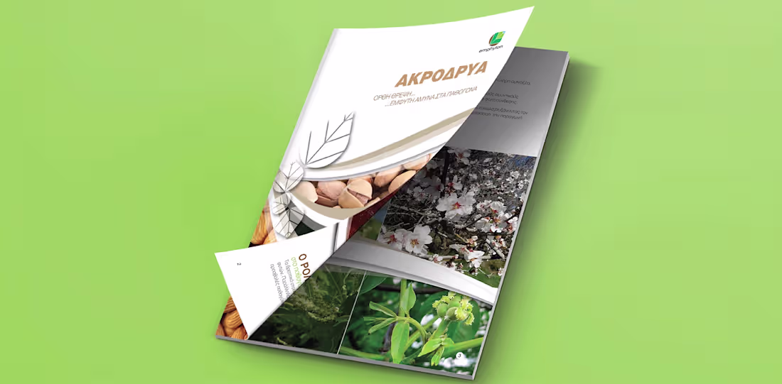 Cover image for Emphyton