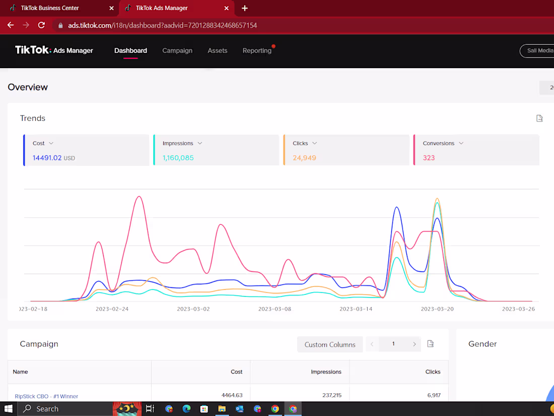 Cover image for Tiktok Marketing Consultation