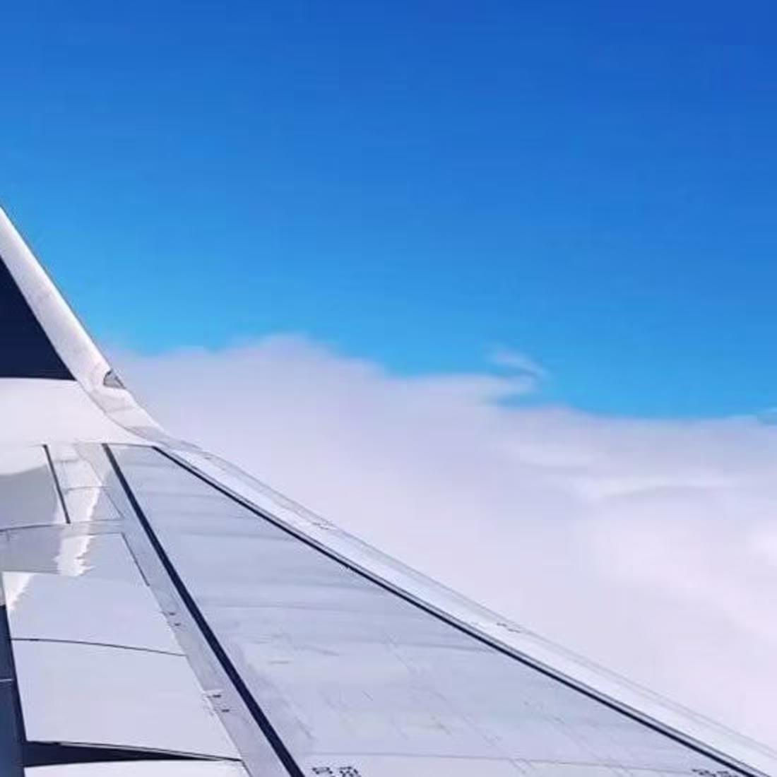 Cover image for Taylor Scott on Instagram: “What a trip! #newzealand #travel #a…