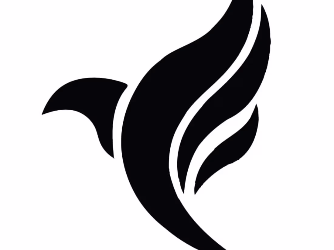 Cover image for Shopify Store Running