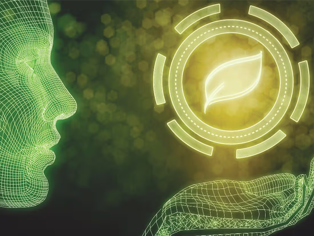 Cover image for AQL-Now