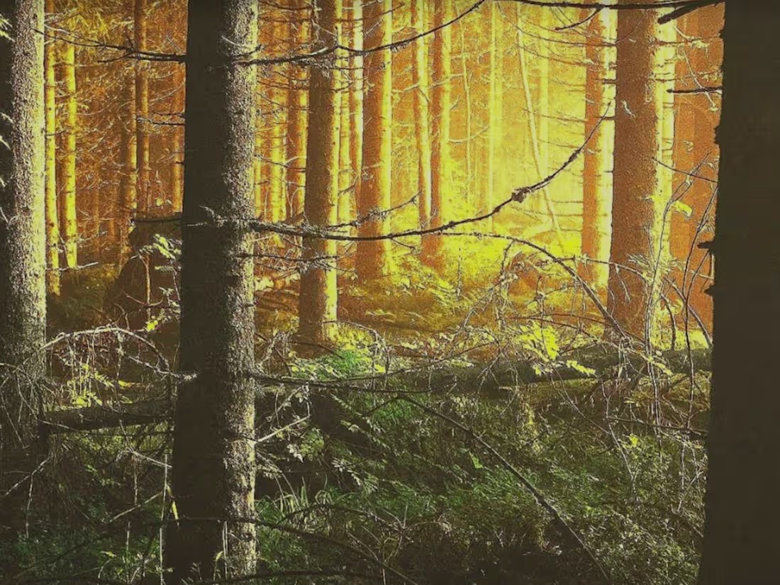 Cover image for Developmental editor