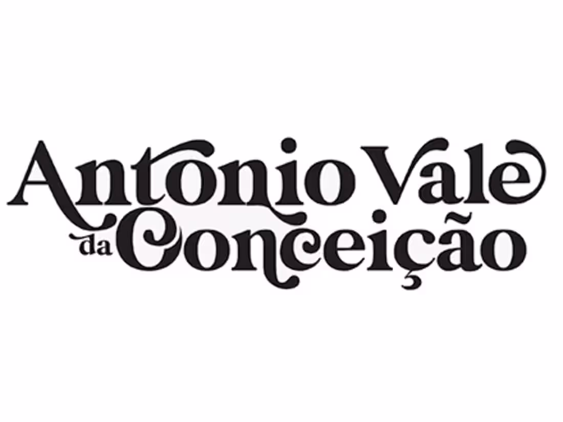 Cover image for Antonio Vale da Conceição