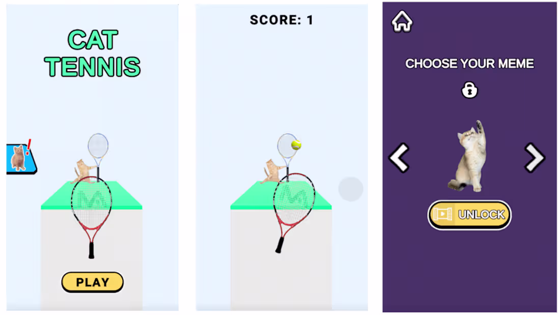 Cover image for Cat Tennis