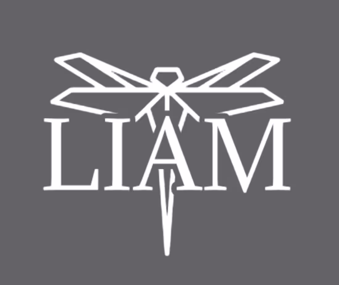 Cover image for Logo Design for my Brand Identity