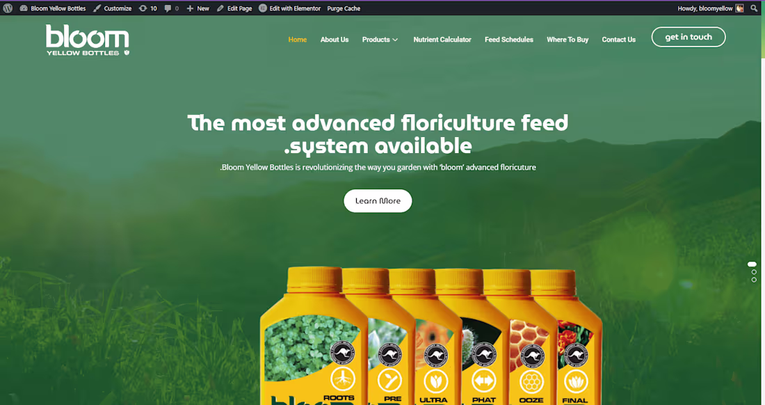 Cover image for Website Development of Bloom Yellow Bottles