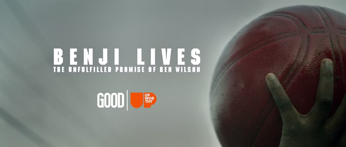 Cover image for Benji Lives