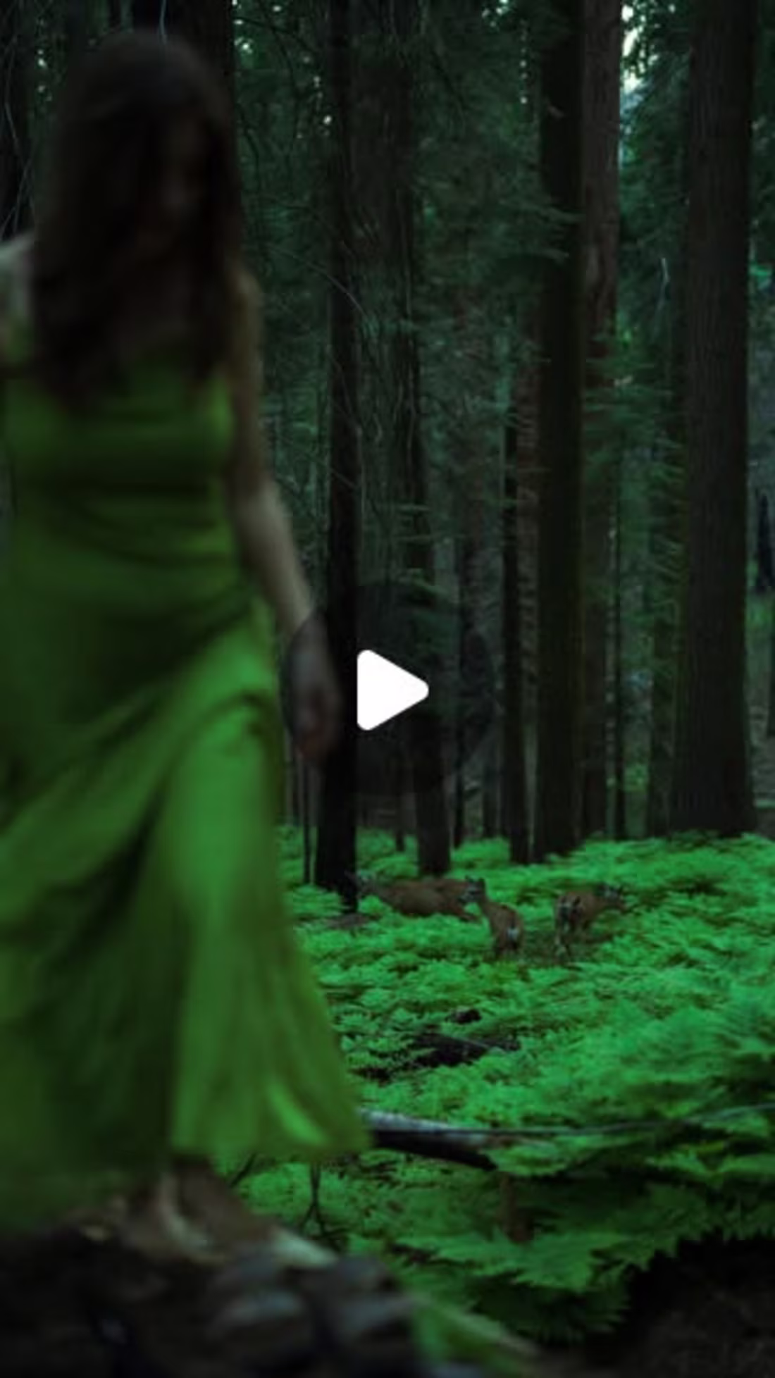 Cover image for Dana on Instagram: “Self Photoshoot in the forest 🦌🍃 #nature#…