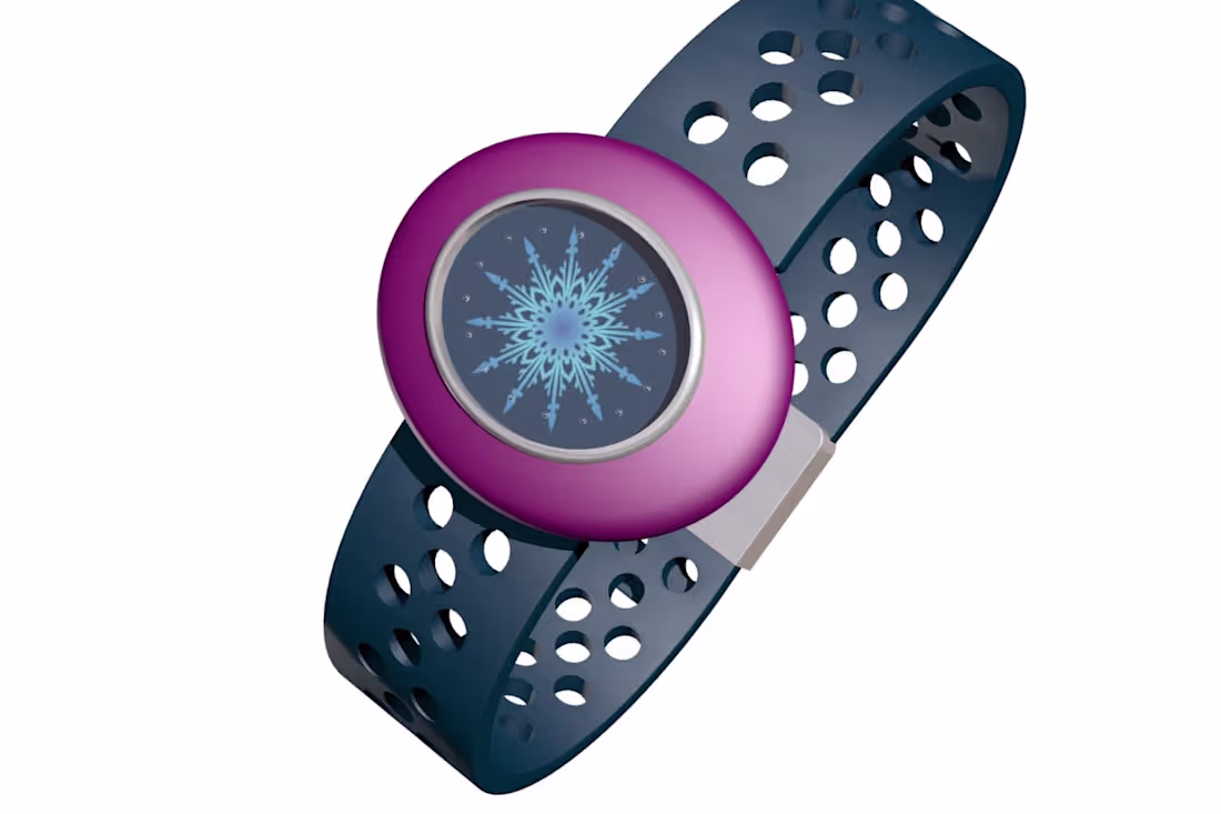 Cover image for Personal Electronic Response System