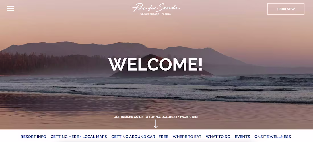 Cover image for Website Management + Copy 