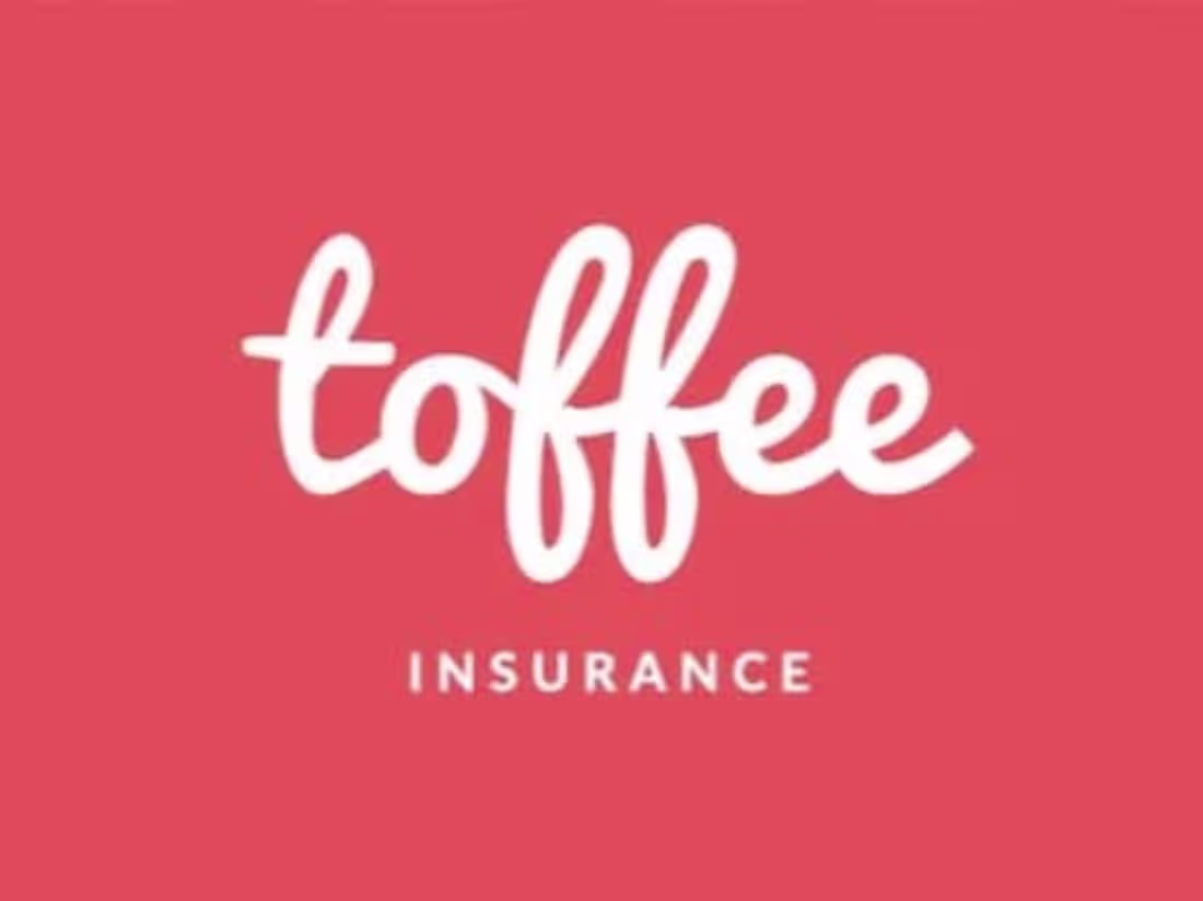 Cover image for Toffee Insurance