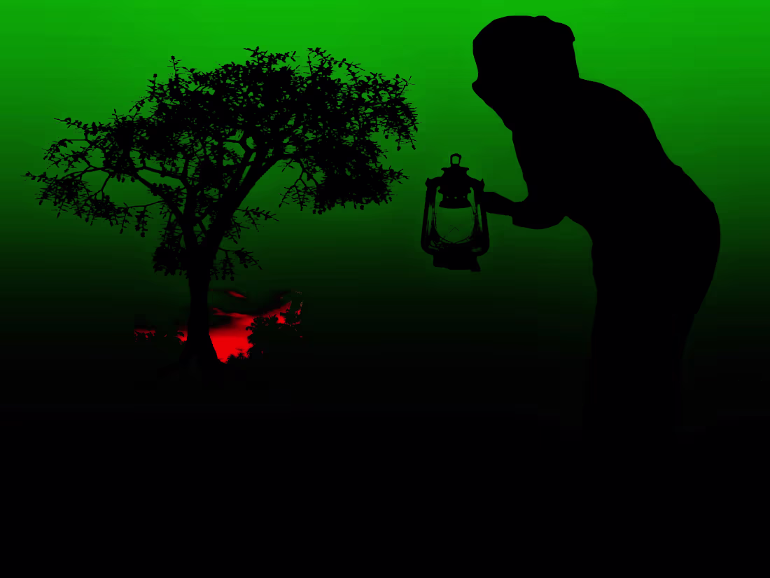 Cover image for Experiment with different cropping and framing options
