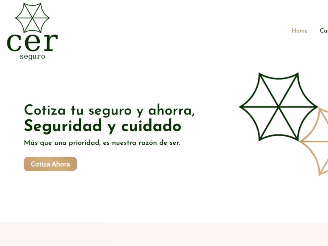 Cover image for CER Seguro