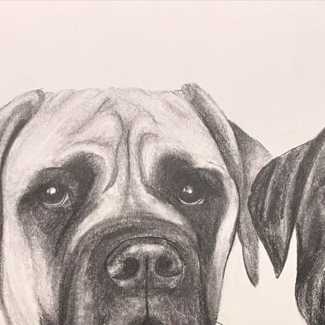 Cover image for Sami Jane on Instagram