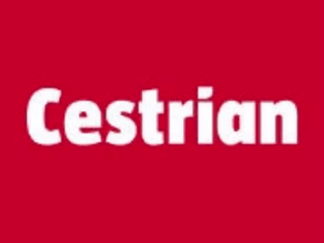 Cover image for Cestrian - Paid Social and Search campaign 
