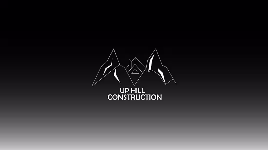 Cover image for LOGO WITH BRAND GUIDE on Behance