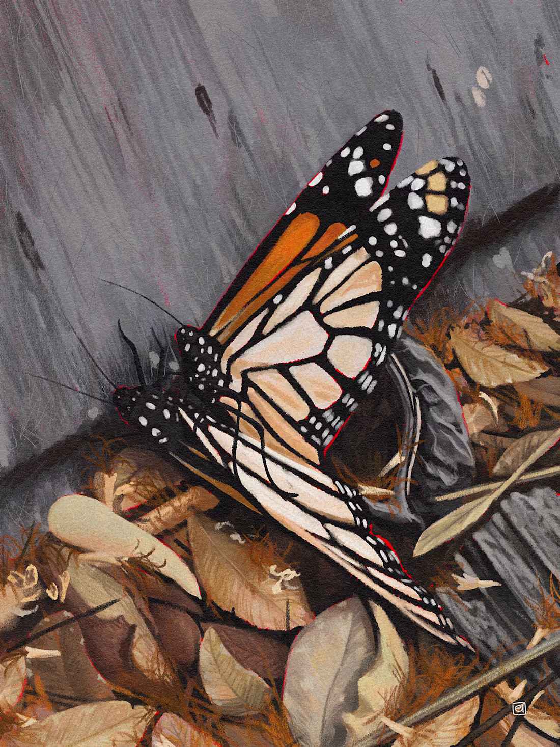 Cover image for Efímero