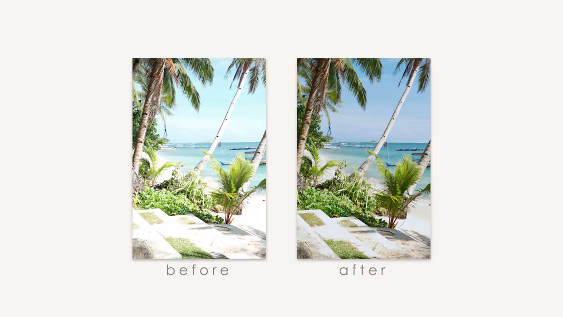 Cover image for The objective for this image